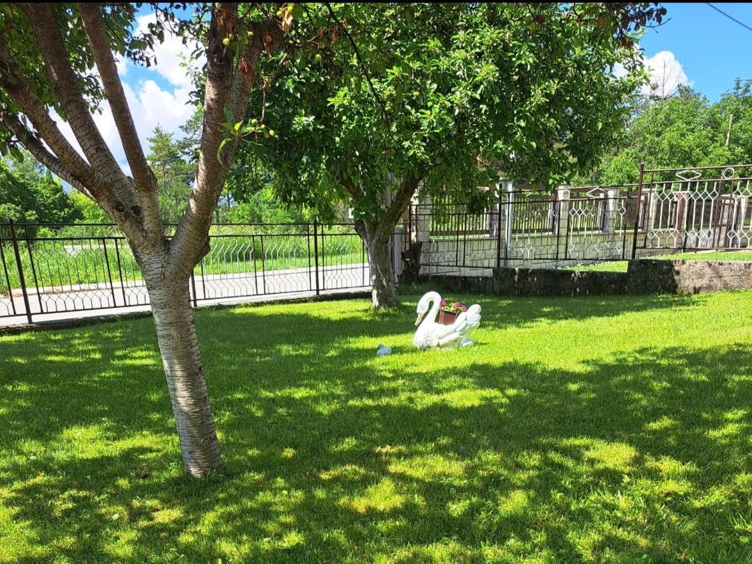 Apartman Ivo Livno Exterior foto